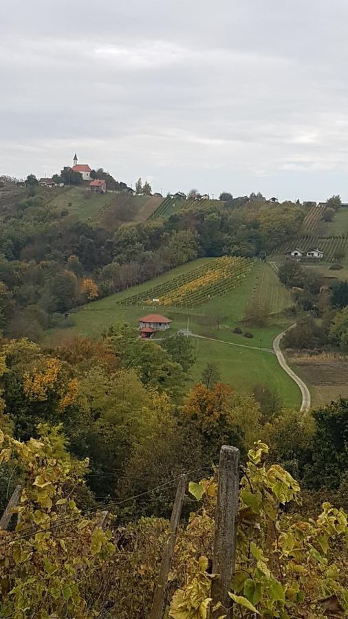 Villa Kuca Za Odmor Nina Sveti Martin Na Muri Exterior foto